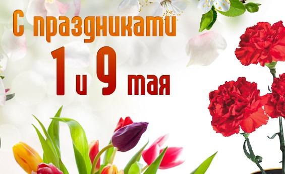 График работы в майские праздники 2019