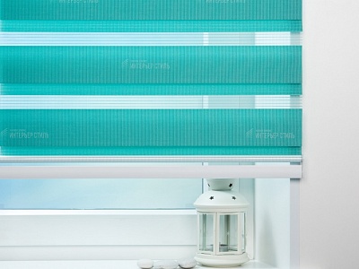 Латина морской 1809