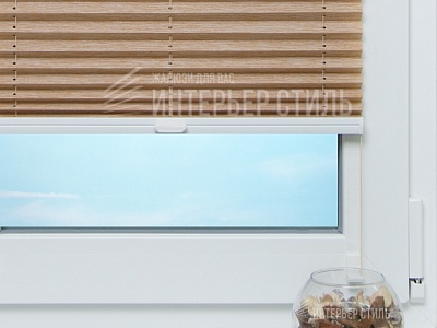 Атри бронзовый