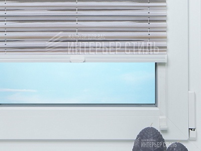 Васто серый