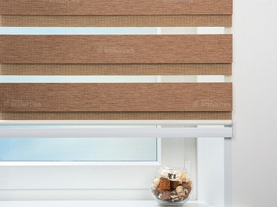 Новара вишня 1904