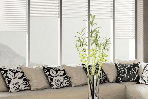 Коллекция дерево/бамбук 2017