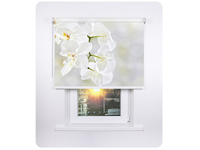 Фотопечать (свободновисящие)