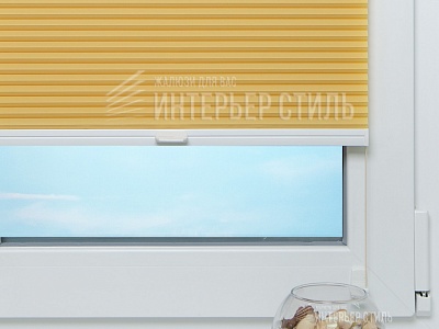 Леванто жёлтый